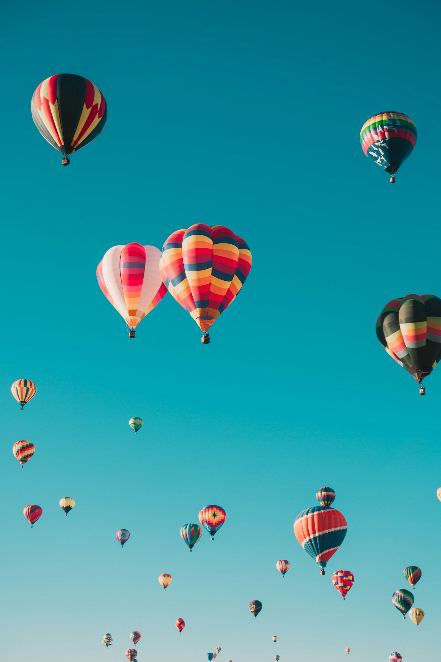 Empty Nest Adventures: Finding Joy in New Beginnings